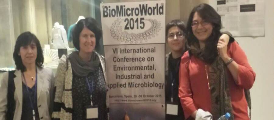 Estos son los trabajos que presentamos en BioMicroWorld2015
