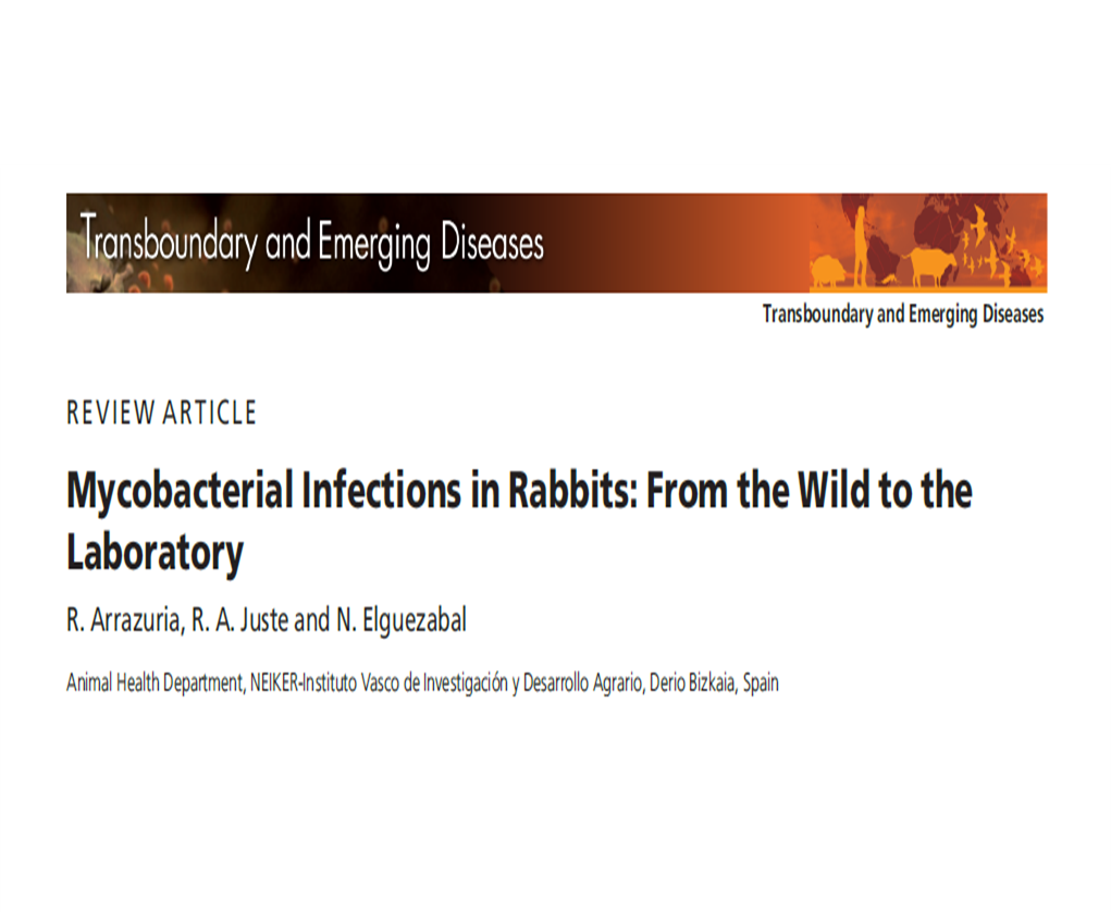 ¿Las micobacteriosis afectan a los conejos?