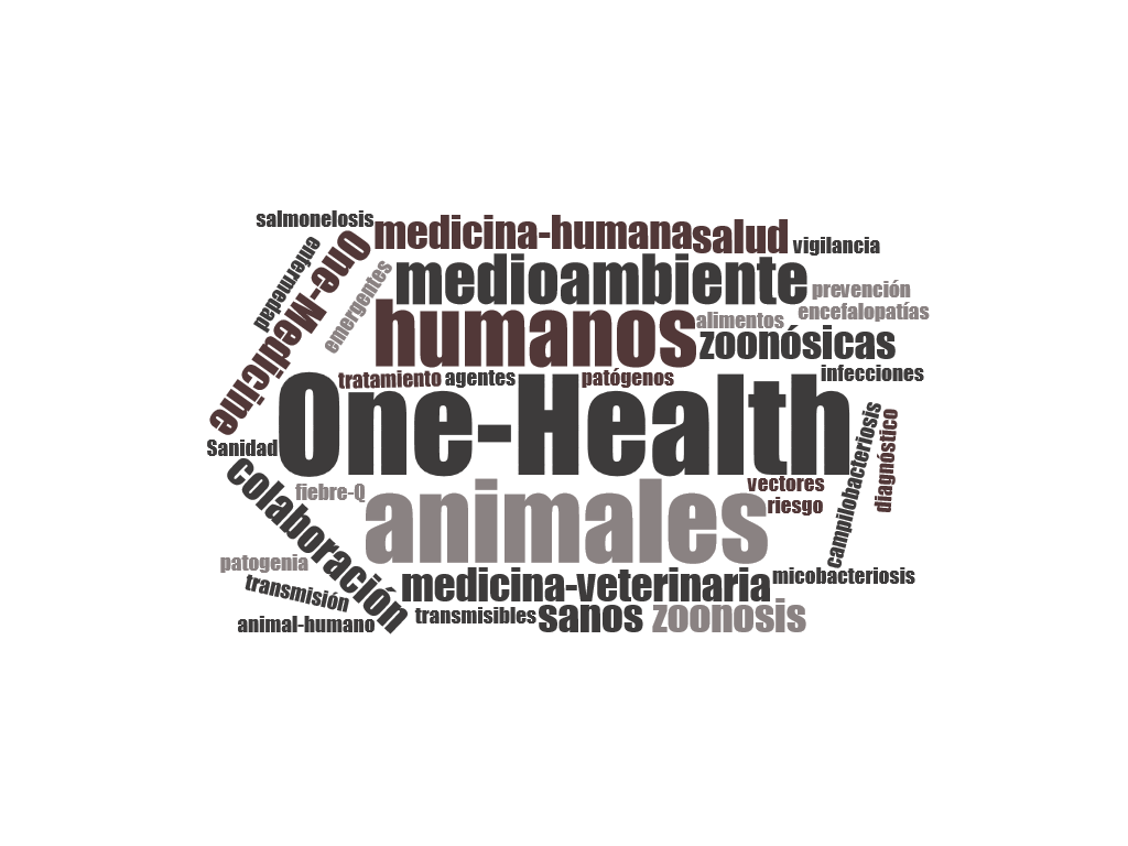 One Health: gizaki eta animalia osasuntsuak, ingurune segurua