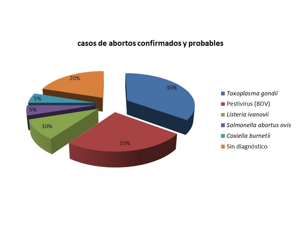 Balance de las causas de aborto en la paridera ovina 2019 (CAPV)