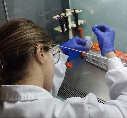 Immuno-gaitasunaren markatzaileek lagundutako hautespen genetikoa esnetarako eta haragitarako behiak hautatzeko programetan integratzea